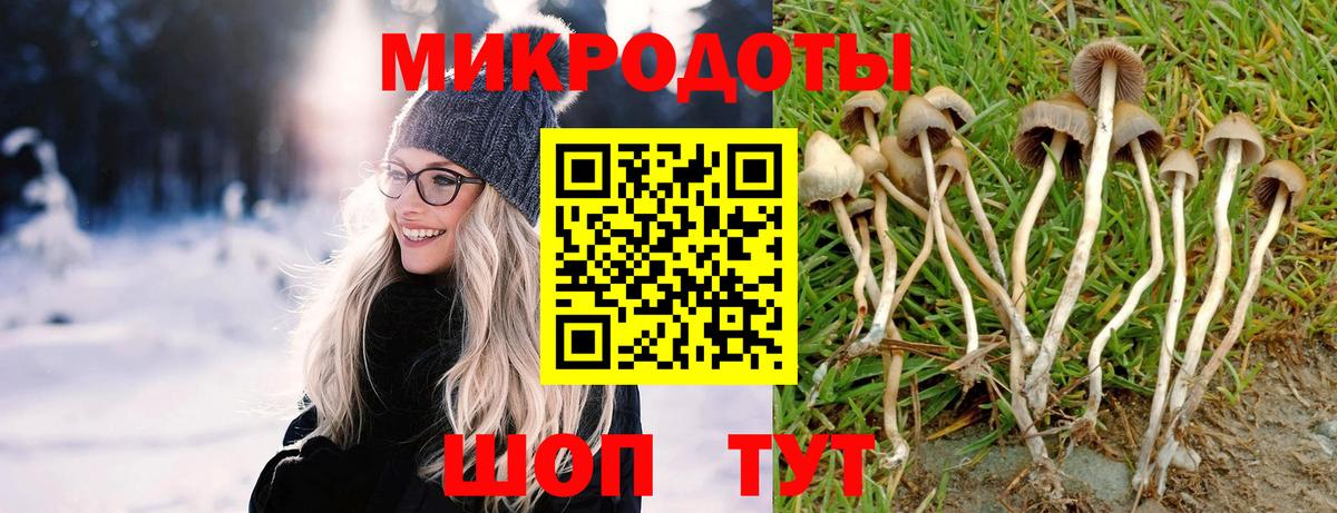 Псилоцибиновые грибы GOLDEN TEACHER  Вход с VPN  Псилоцибиновые грибы Magic Shrooms  Нижний Новгород 